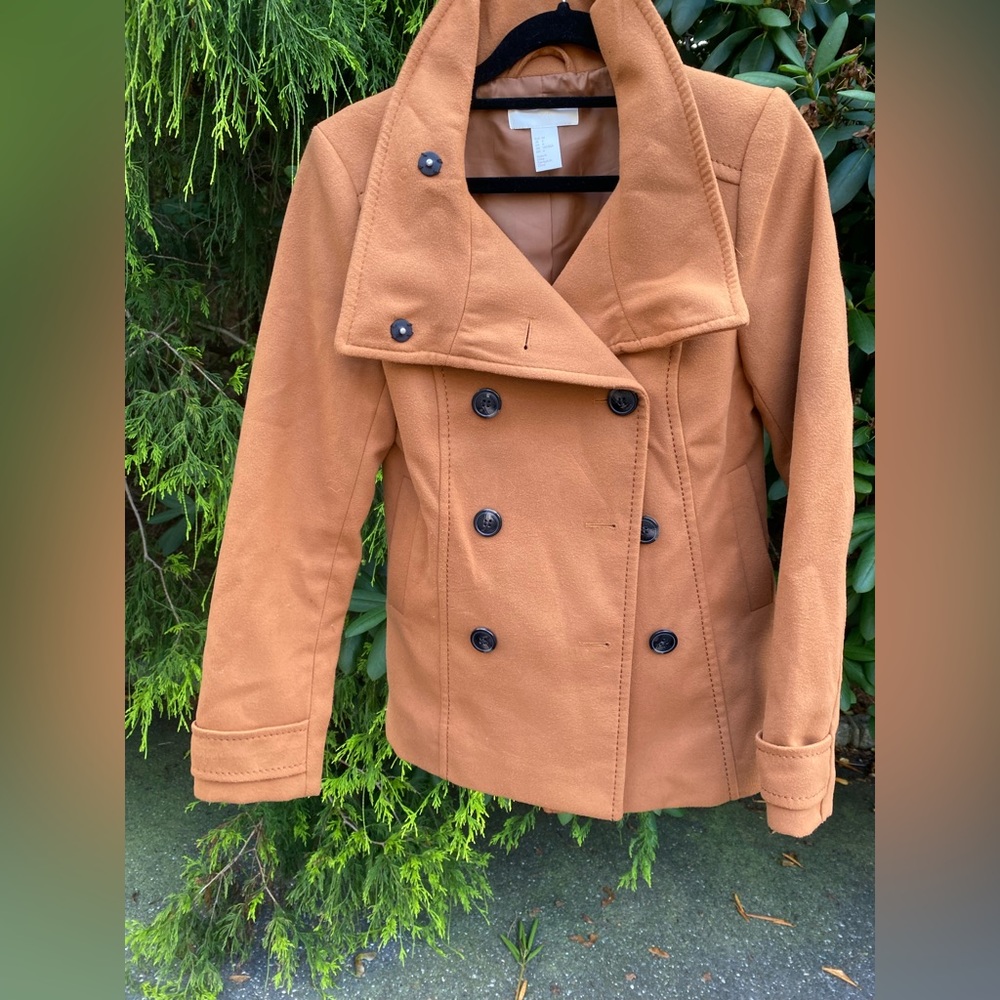 H&M Burnt Orange Pea coat Style Jacket